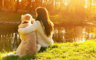 Bienvenidos a ADIESTRACAN