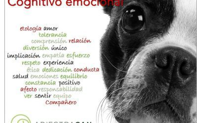 Adiestramiento Cognitivo-Emocional