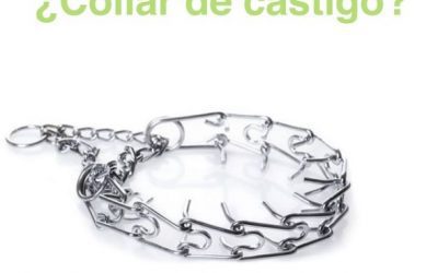 ¿COLLAR DE CASTIGO?
