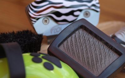 Cómo cepillar a tu perro