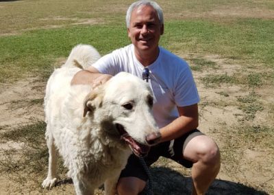 adiestramiento canino madrid