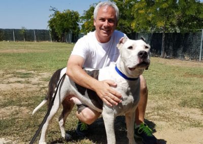 adiestramiento canino madrid