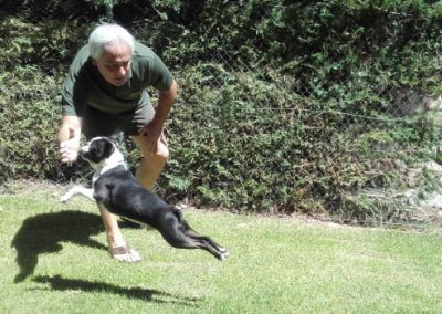 adiestramiento canino madrid